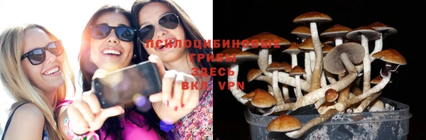 винт Коряжма