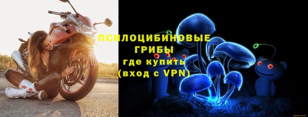 винт Коряжма