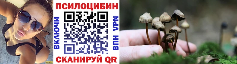 Купить закладки  Череповец  Галлюциногенные грибы ЛСД 