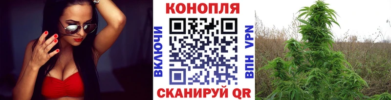 Бошки Шишки MAZAR  Купить где  Череповец 
